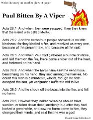 Paul bitten by viper writing activity sheet