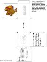 Thanksgiving Turkey Ten Lepers One Thankful Man Box Template