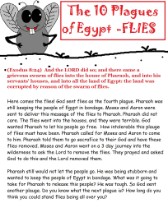 10 Plagues of Egypt Fly Sunday school Lesson