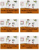 The parable of the mustard seed cupcake templates