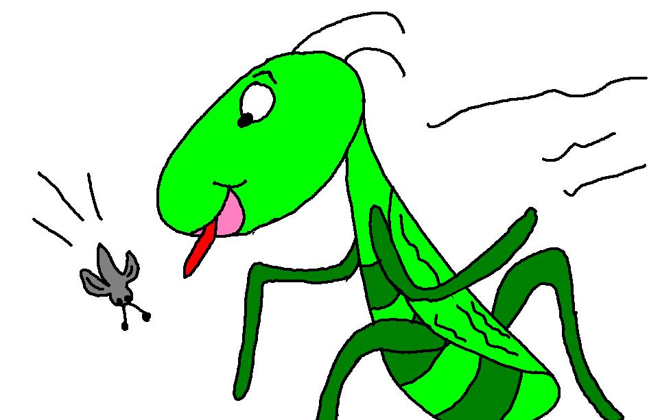 10 plagues of Egypt locust grasshoppers