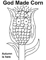 Corn coloring page for Sunday school