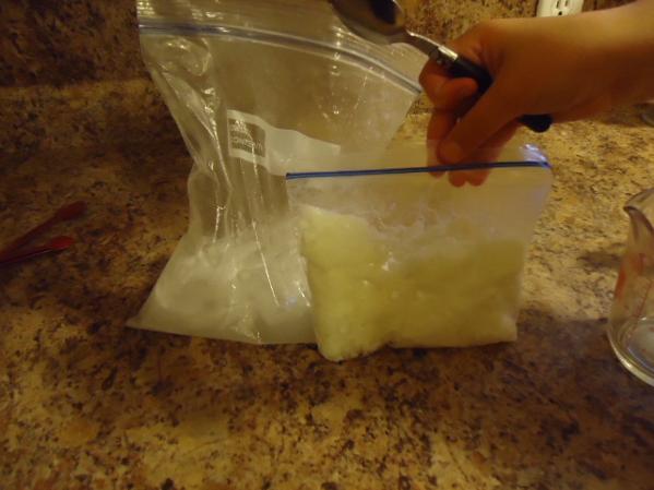 5 Minute Ice Cream In A Bag Recipe by Church House Collection©