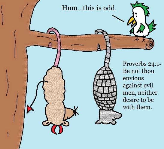 Animal Clipart, Oppossum Armadillo Bird Clipart