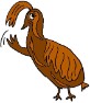 Quail Clipart- Animal Clipart